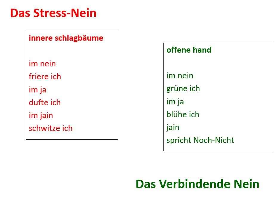 Vom Stress-Nein zum Verbindenden Nein
